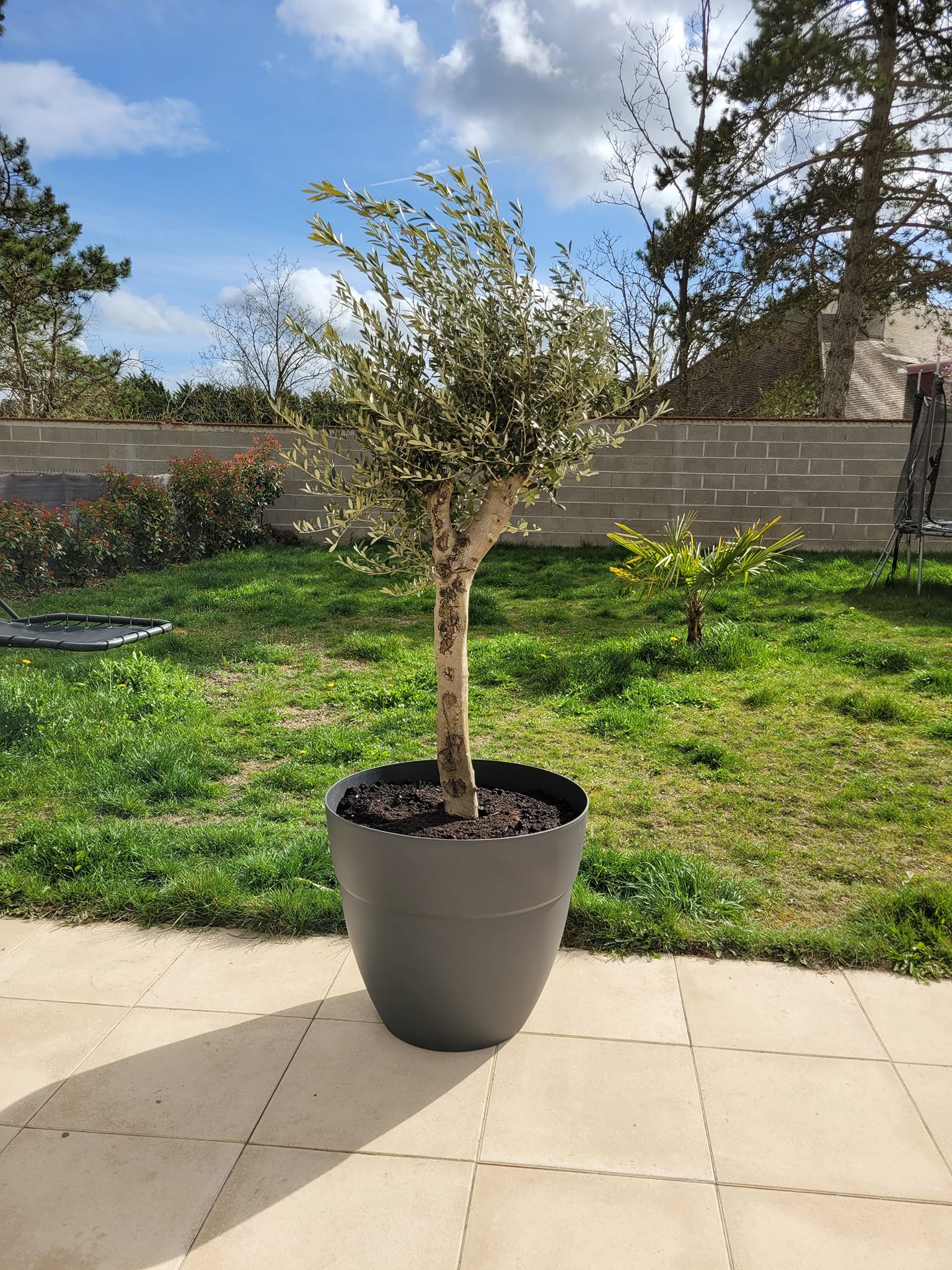 Les erreurs à éviter lors de l’aménagement d’un jardin au Maroc